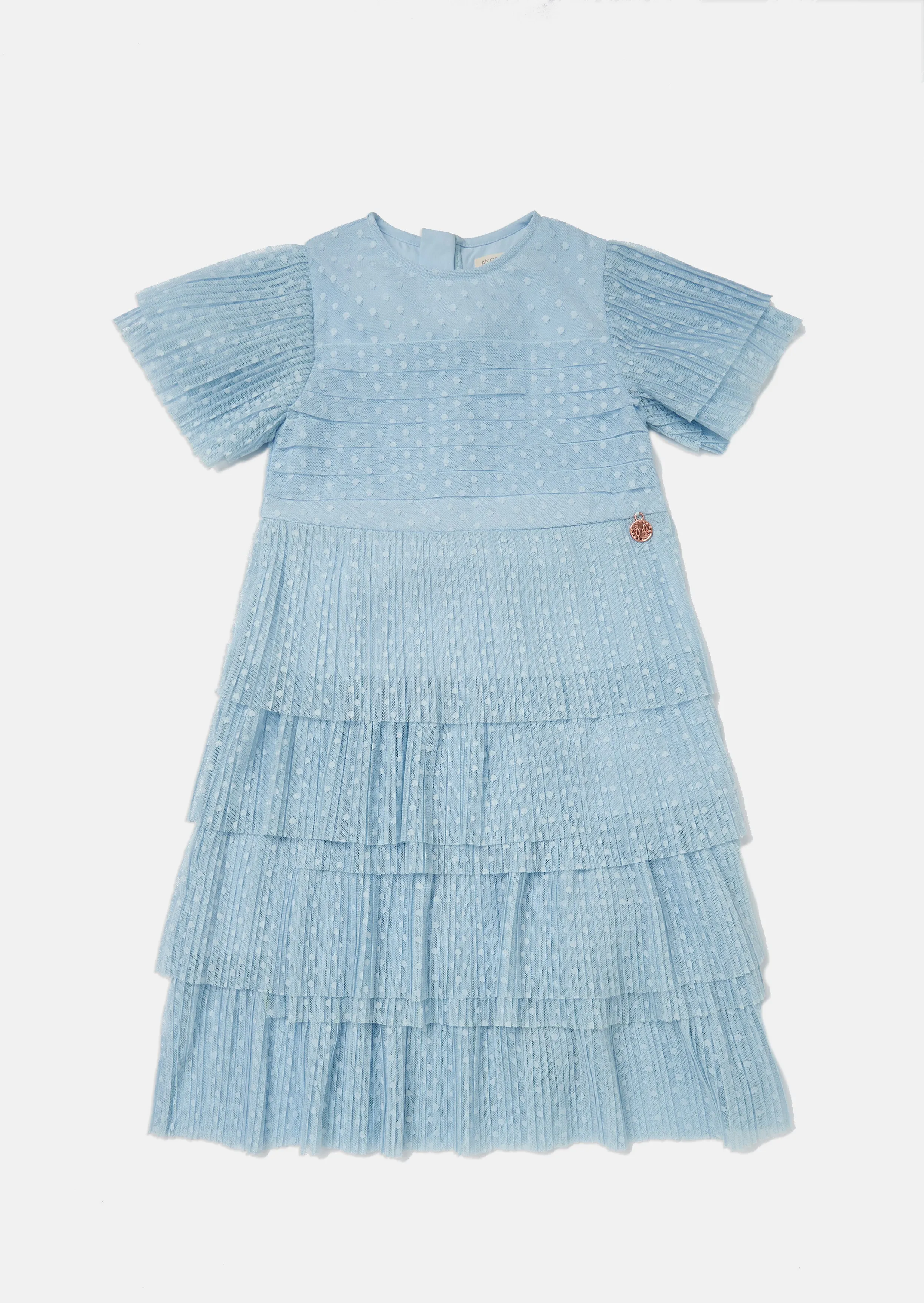 Amelie Tiered Crinkle Mesh Dress