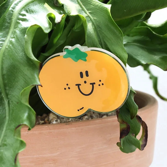 Fruits Cute Griptoks Cellphone Holders Stands Smartphone Accessories