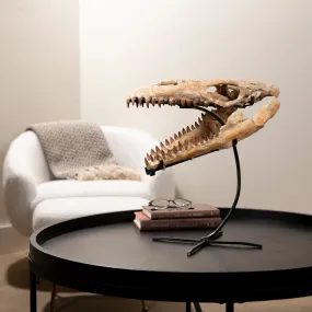 Moroccan Mosasaurus Jaw Fossil  on Custom Stand - 17