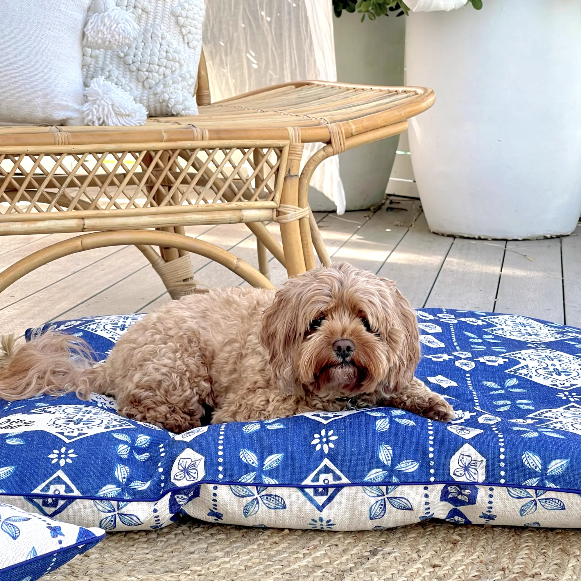 Noosa Nights – LARGE Dog Bed