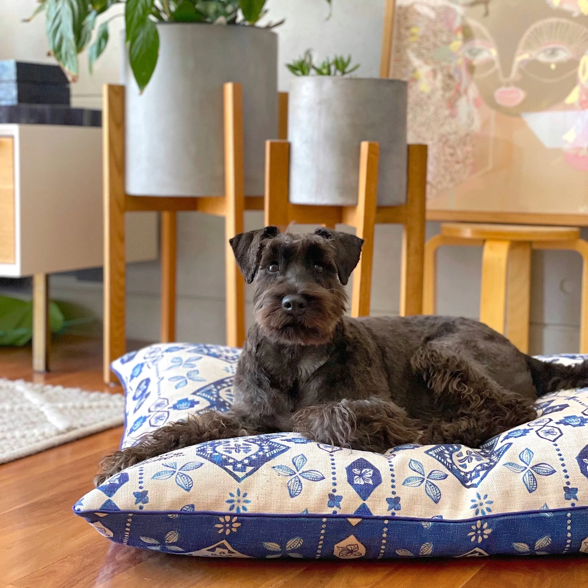 Noosa Nights – LARGE Dog Bed