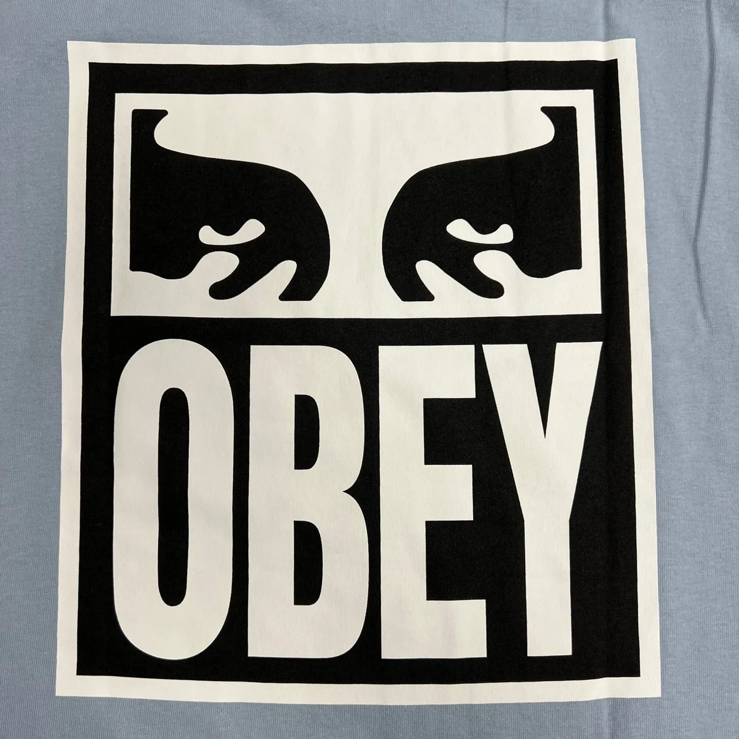 OBEY Eyes ICON 2 Heavyweight T-Shirt