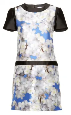 Photo Print Dress