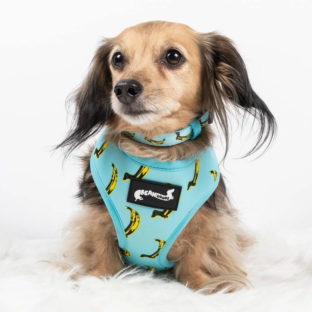 reversible harness - banana wiener