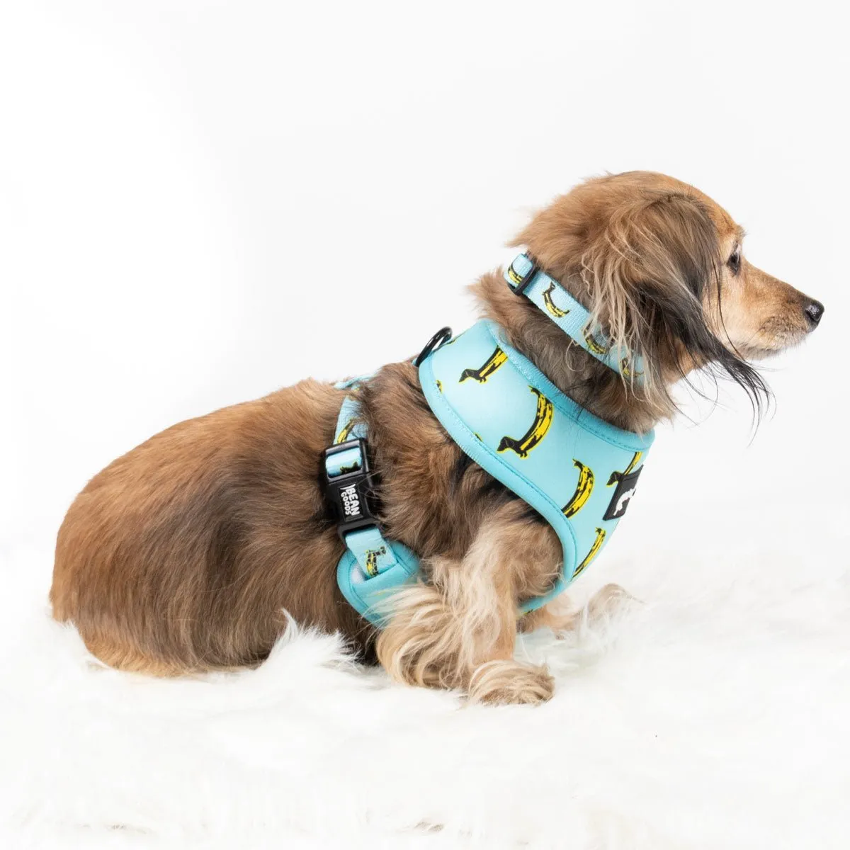 reversible harness - banana wiener